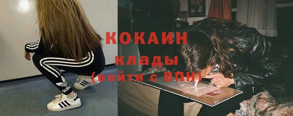 молекула духа Семёнов