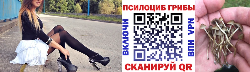 Галлюциногенные грибы мухоморы  Купить где  Кострома 